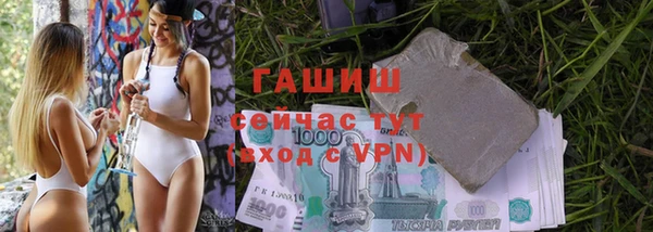 сатива Армянск